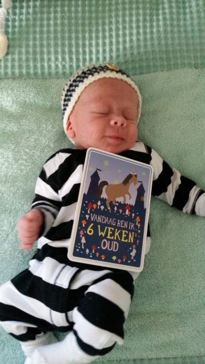 September 2015. Zo lief.
